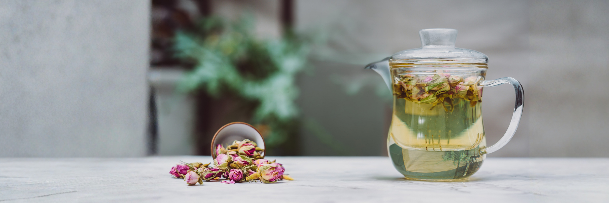 Teaware Brewing Tips: Enhance Your Loose Leaf Tea Experience