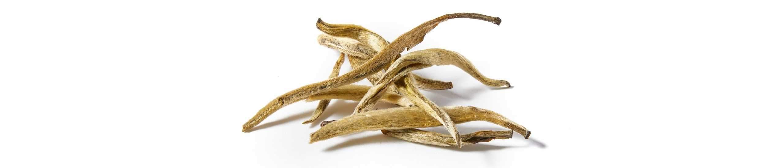 A pile of Jasmine Silver Needle tea from China