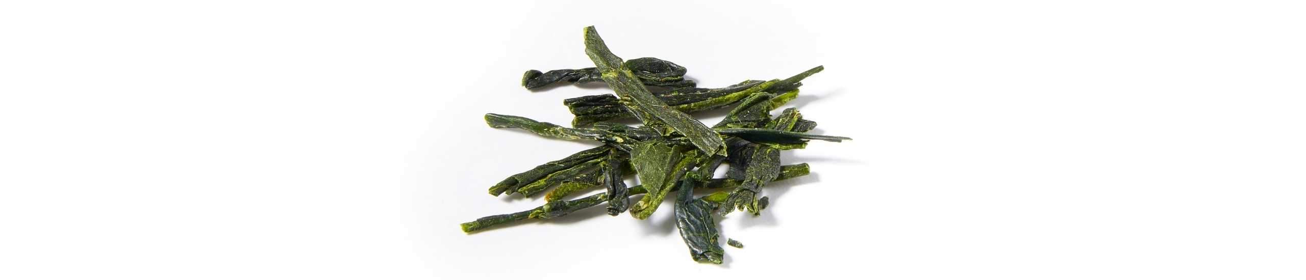 A collection of healthy Gyokuro green tea leaves