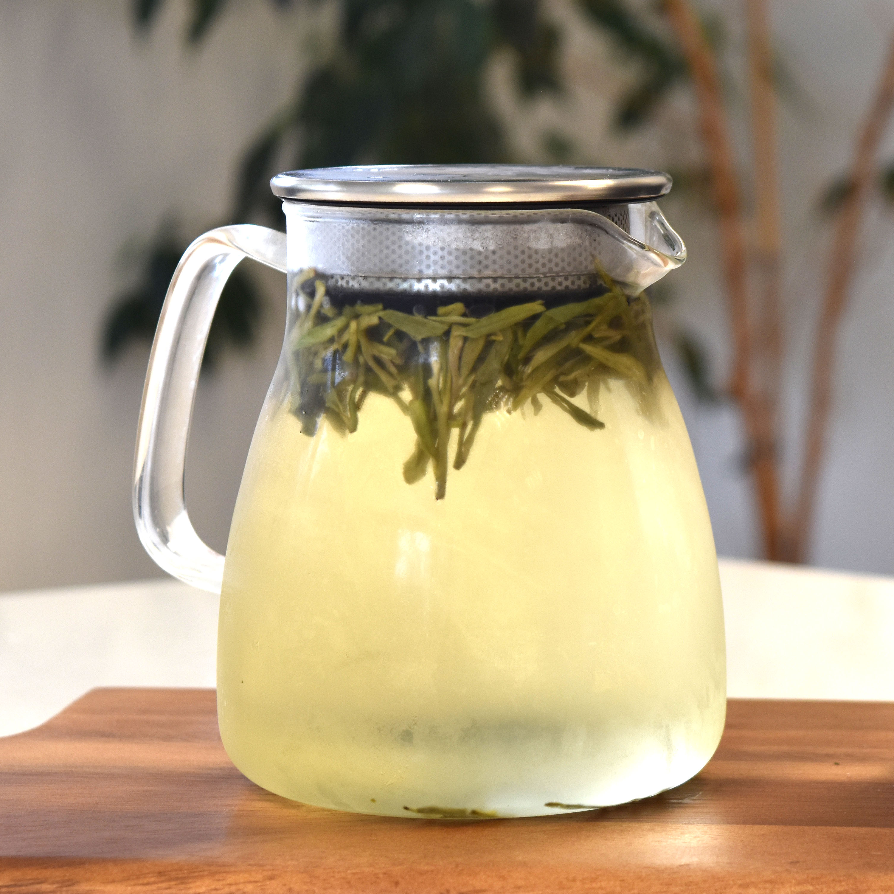 A glass teapot with infuser lid filled with cold brew green tea and green tea leaves.