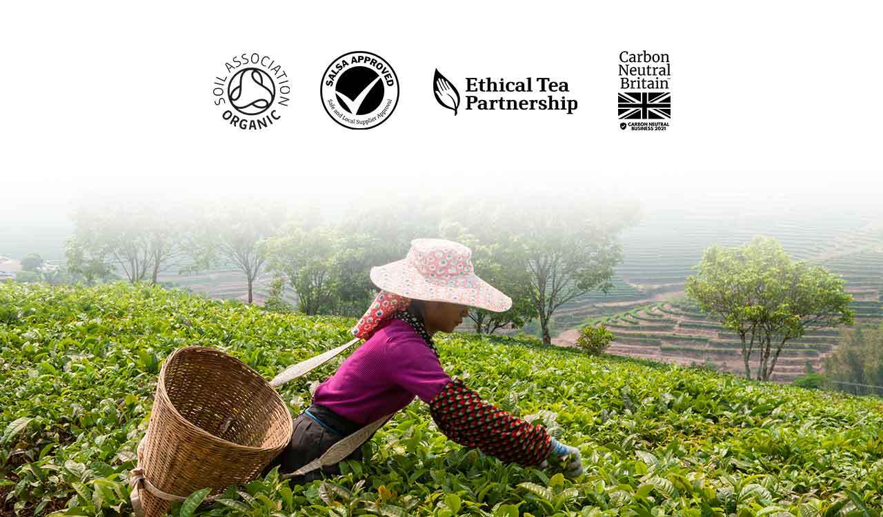 <b>Sourcing Teas Ethically<b></b><br><br></b>