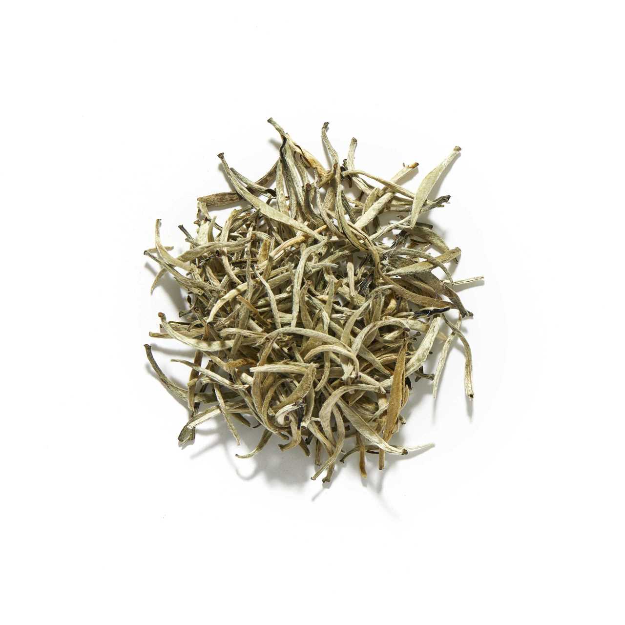 Rare Ceylon Silver Tips Loose Leaf Tea arranged in a circle