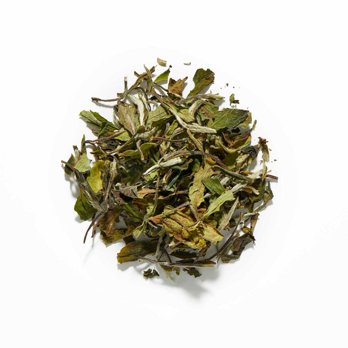 White Peony Loose Leaf Tea arranged in a circle