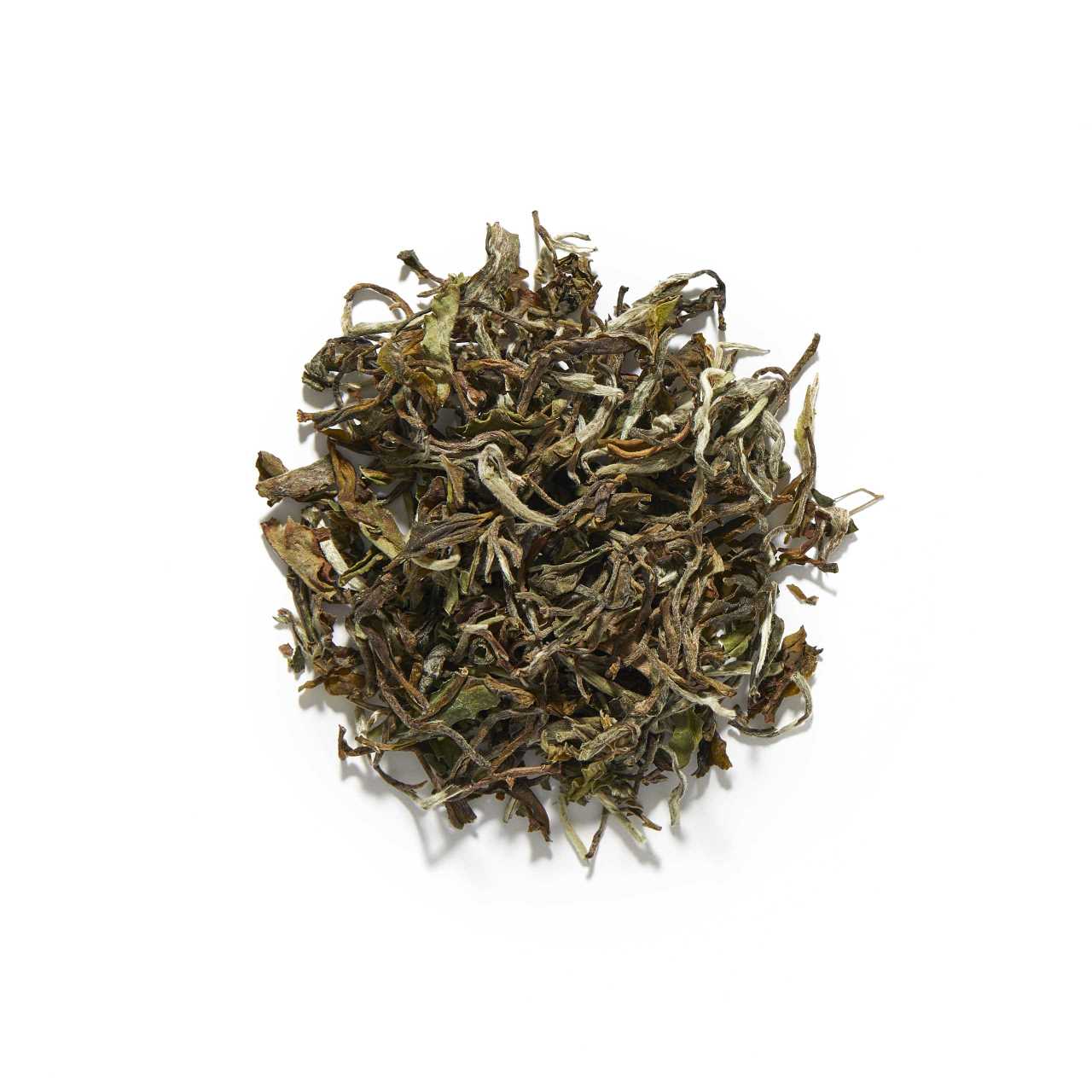 Glenburn White Moonshine Darjeeling First Flush Loose Leaf tea arranged in a circle