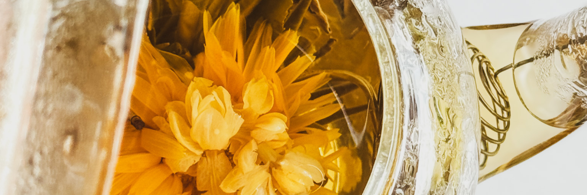 How to Brew Flowering Jasmine Tea