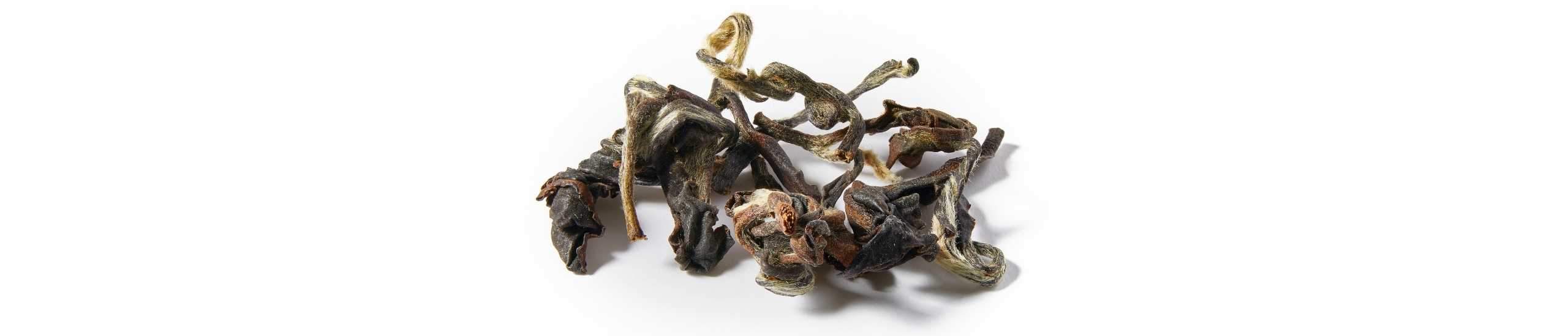 A collection of cold brew Supreme Oriental Beauty tea leaves