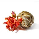 Flowering tea bulb