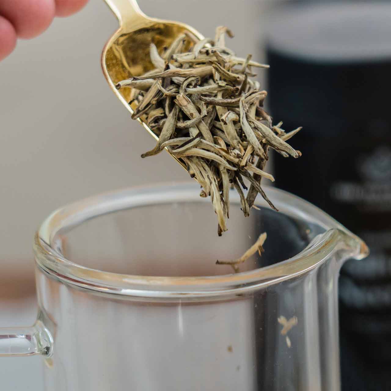 Jasmine Silver Needle - Loose Leaf Tea