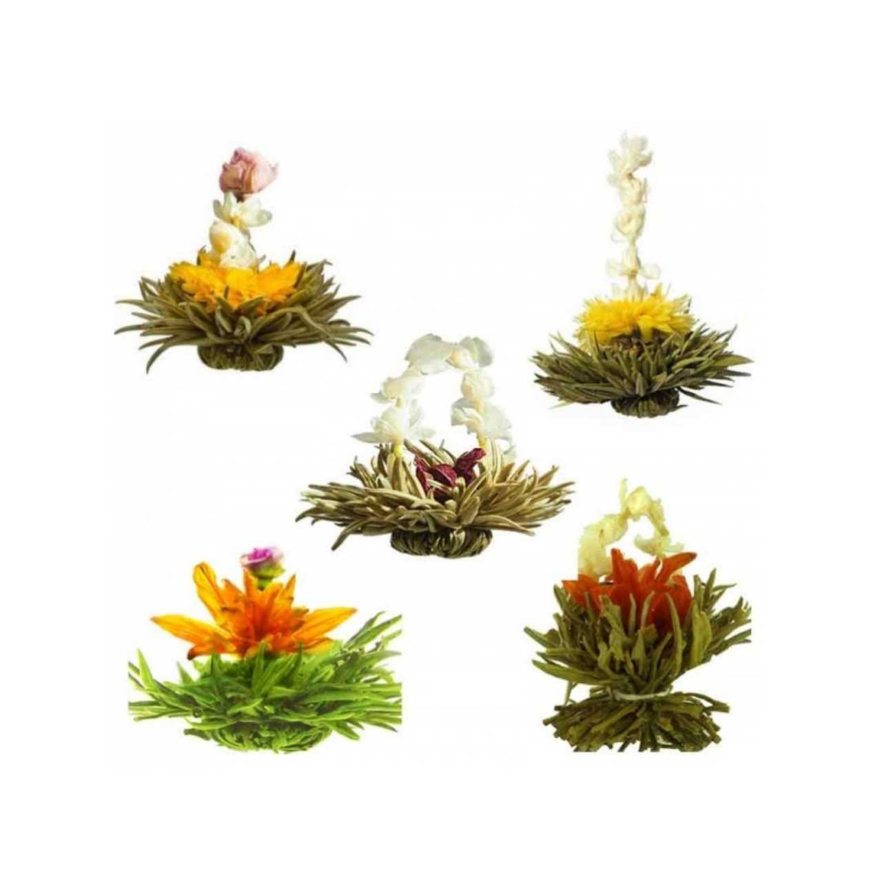 Artisan Flowering Tea Bulbs Gift Set with 10 Bulbs