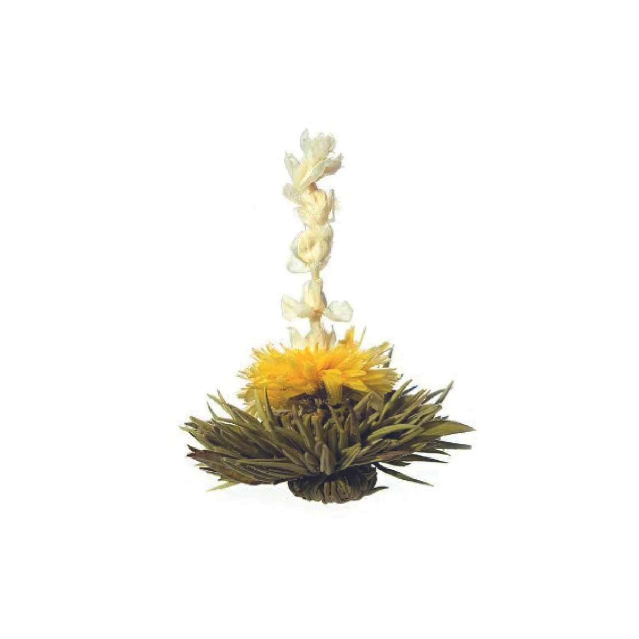 Artisan Flowering Tea Bulbs - Luxury Blooming Tea