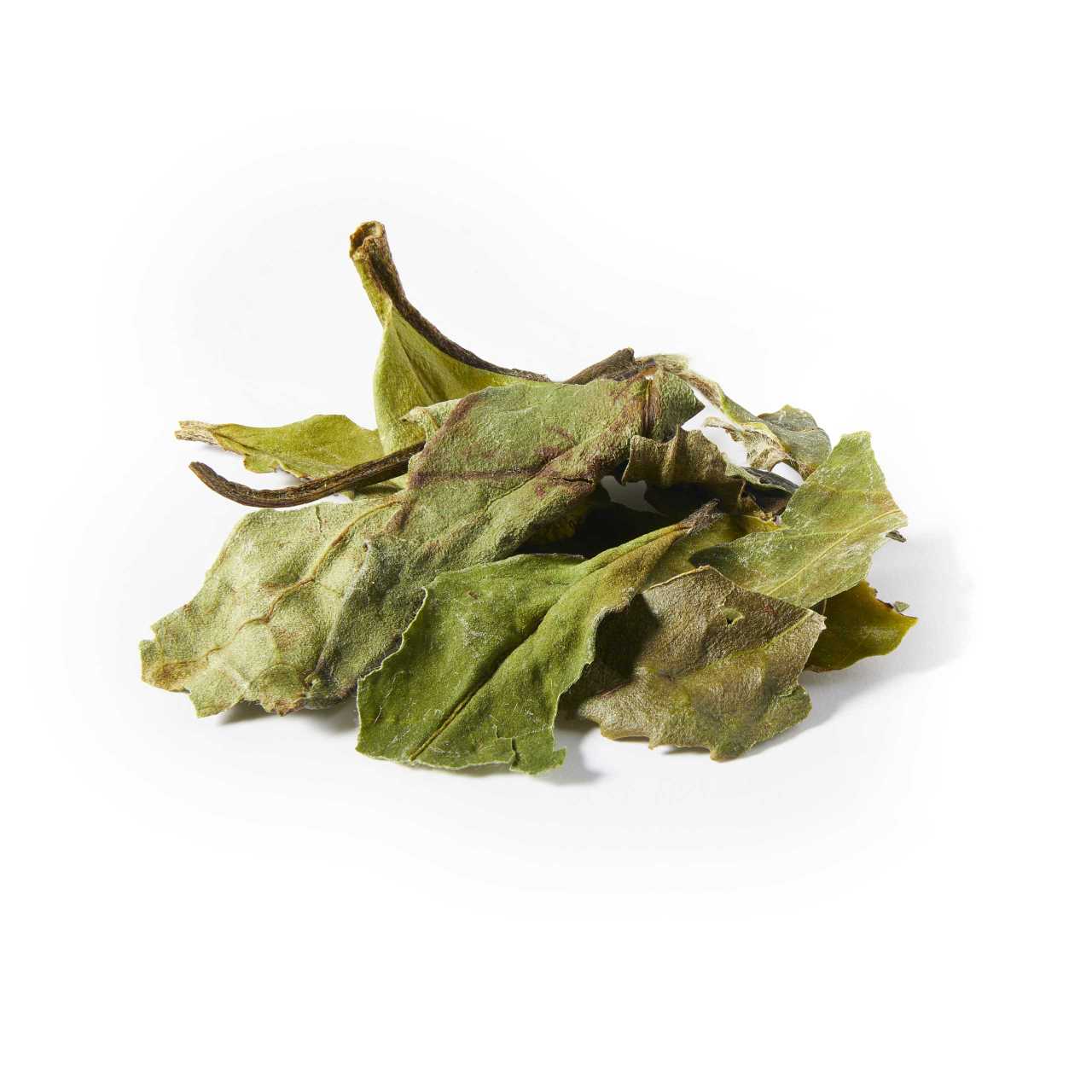 A macro pile of White Peony Loose Leaf Tea
